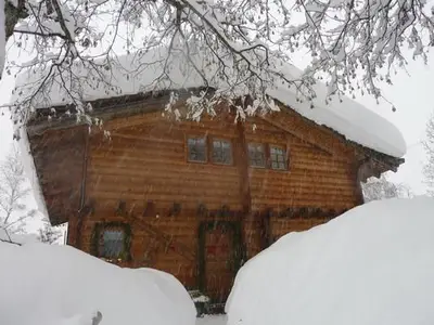 Bild 12