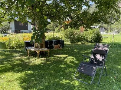 Entspannung unter dem Apfelbaum