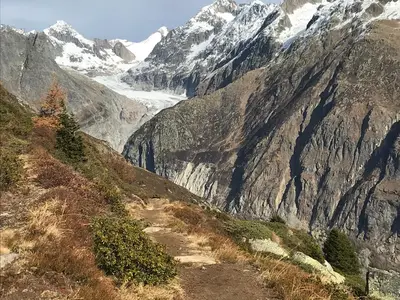 Fieschergletscher