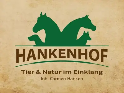 Ferienwohnung für 4 Personen (90 m²) in Filsum 1/10