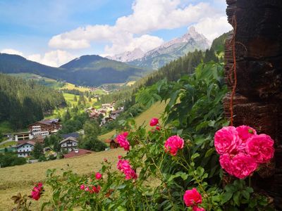 Aussicht Neuberg