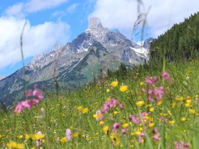 Ausblick im Sommer