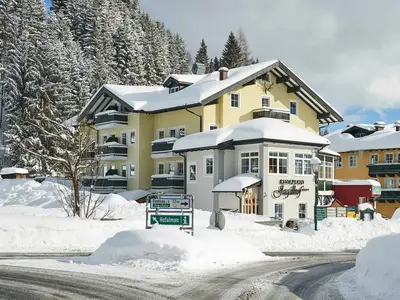 Ferienwohnung für 4 Personen (38 m²) in Filzmoos 2/10