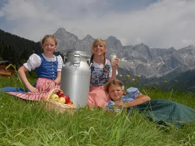 Aussicht auf die Dachstein-Südwand
