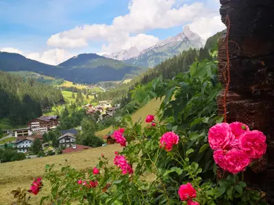 Idyllischer Ausblick auf Neuberg