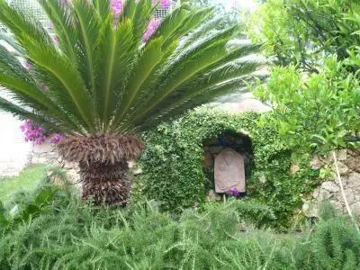 Bild 7