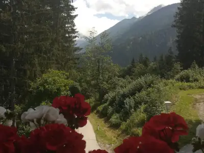 Balkonblumen FW Grünberg