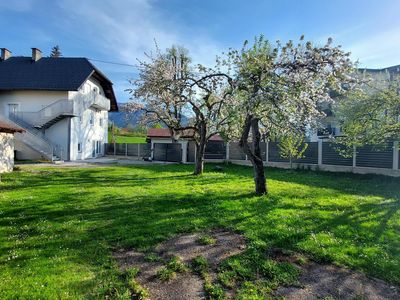 Unser Frühlingsgarten