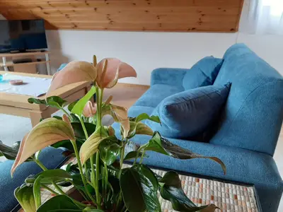 Ferienwohnung für 4 Personen (90 m²) in Finnentrop 3/10