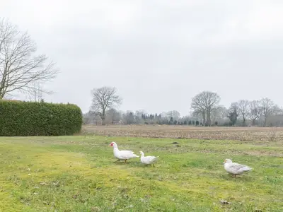 Ferienwohnung für 6 Personen (68 m²) in Firrel 6/10