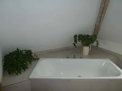 Ferienwohnung für 4 Personen (140 m²) in Fischbach bei Dahn 8/10