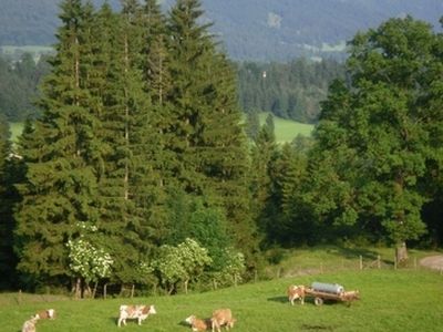 Ferienwohnung für 6 Personen (70 m²) in Fischbachau 3/10