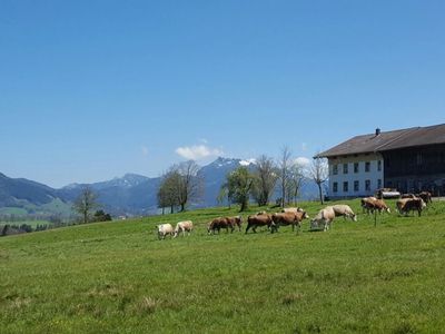 Biohof Unterstadl