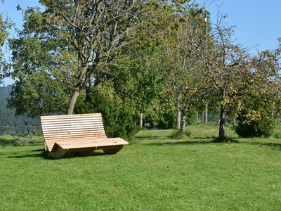 Obstgarten mit Himmelsliege