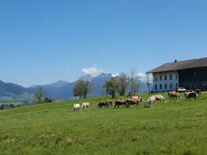 Ferienwohnung für 6 Personen (47 m²) in Fischbachau