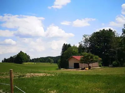 Ferienwohnung für 4 Personen (67 m²) in Fischbachau 4/10