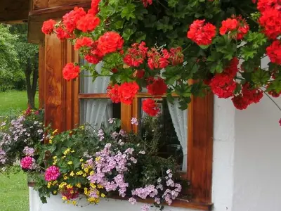 Ferienwohnung für 4 Personen (80 m²) in Fischbachau 5/10