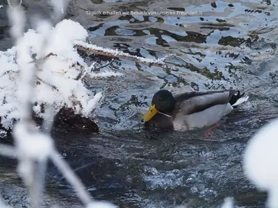 Ferienwohnung für 2 Personen (50 m²) in Fischbachau 8/10