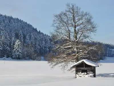 Ferienwohnung für 6 Personen (100 m²) in Fischbachau 6/10