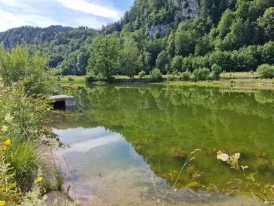 Ferienwohnung für 3 Personen (58 m²) in Fischbachau 4/10