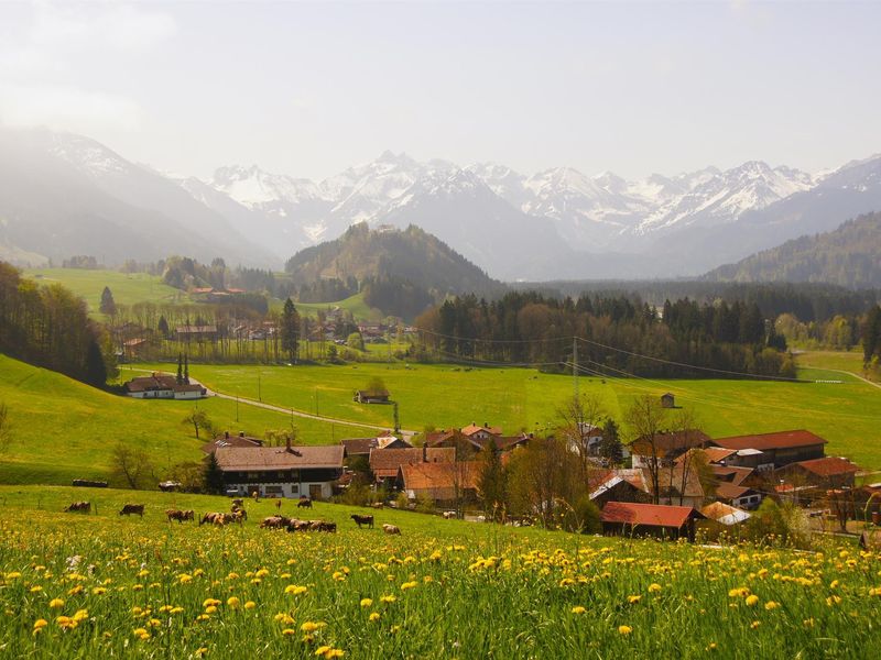 22281511-Ferienwohnung-2-Fischen im Allgäu-800x600-1