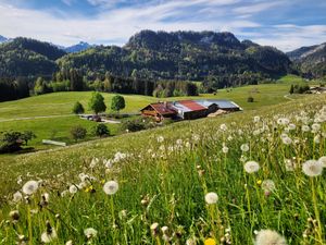 23975908-Ferienwohnung-4-Fischen im Allgäu-300x225-0