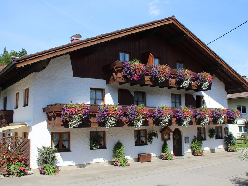 23832048-Ferienwohnung-3-Fischen im Allgäu-800x600-2