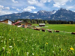 23977004-Ferienwohnung-2-Fischen im Allgäu-300x225-1