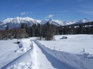 22281529-Ferienwohnung-2-Fischen im Allgäu-300x225-5