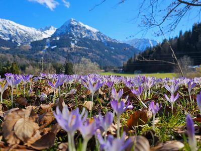 Ausblick im Frühling