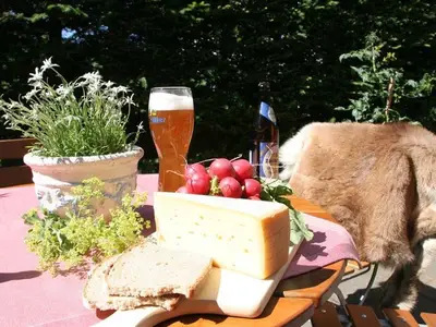 Ferienwohnung für 2 Personen (47 m²) in Fischen im Allgäu 4/10