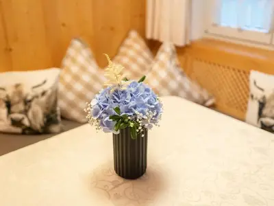 Ferienwohnung für 2 Personen (47 m²) in Fischen im Allgäu 10/10