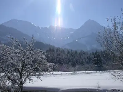 Ferienwohnung für 2 Personen (45 m²) in Fischen im Allgäu 9/10