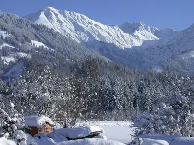 Ferienwohnung für 2 Personen (45 m²) in Fischen im Allgäu 10/10