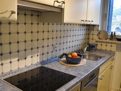 Ferienwohnung für 4 Personen (54 m²) in Fischen im Allgäu 7/10