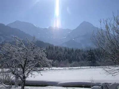 Winterblick Süd mit Bäumen - Haus Carola