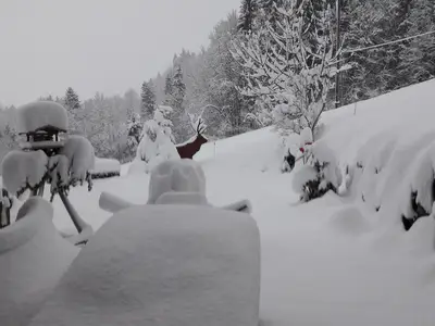 Winterimpression