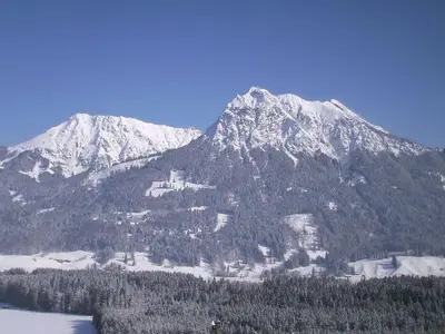 Ferienwohnung für 6 Personen (70 m²) in Fischen im Allgäu 5/10