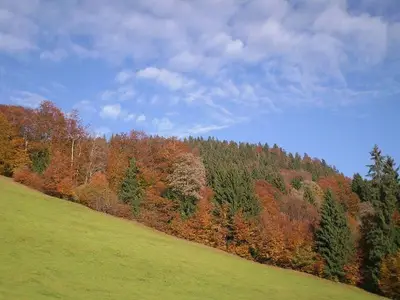 Ferienwohnung für 6 Personen (70 m²) in Fischen im Allgäu 6/10