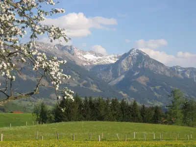 Frühling in Fischen