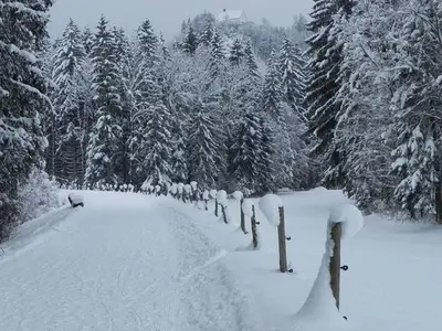 Ferienwohnung für 2 Personen (36 m²) in Fischen im Allgäu 5/10