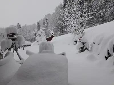 Ferienwohnung für 2 Personen (84 m²) in Fischen im Allgäu 4/10