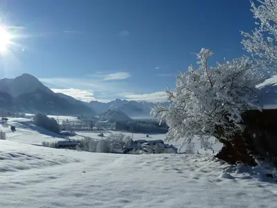 Ferienwohnung für 4 Personen (53 m²) in Fischen im Allgäu 3/10