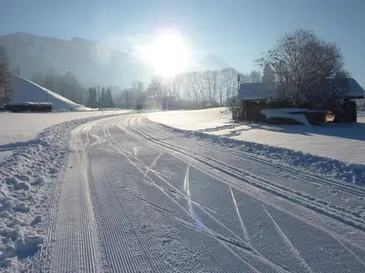 Ferienwohnung für 4 Personen (53 m²) in Fischen im Allgäu 5/10