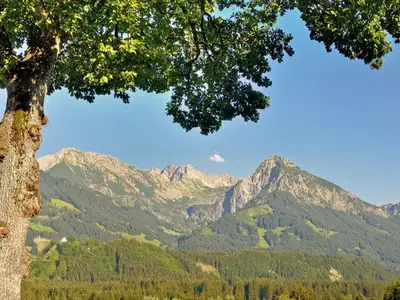 Ferienwohnung für 2 Personen (32 m²) in Fischen im Allgäu 9/10