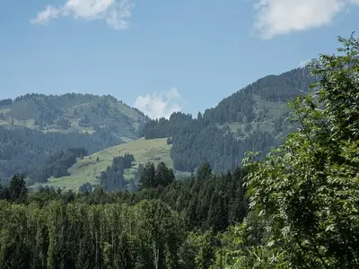 Ferienwohnung für 2 Personen (47 m²) in Fischen im Allgäu 8/10