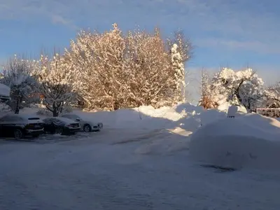 Ferienwohnung für 4 Personen (48 m²) in Fischen im Allgäu 4/10