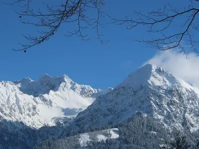 Ferienwohnung für 4 Personen (48 m²) in Fischen im Allgäu 5/10