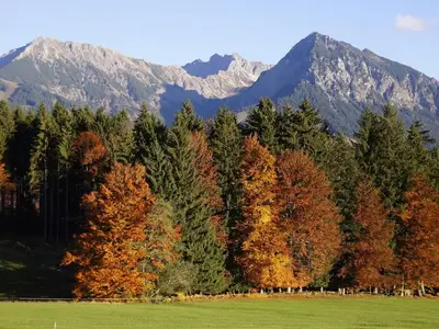 Ferienwohnung für 4 Personen (48 m²) in Fischen im Allgäu 9/10