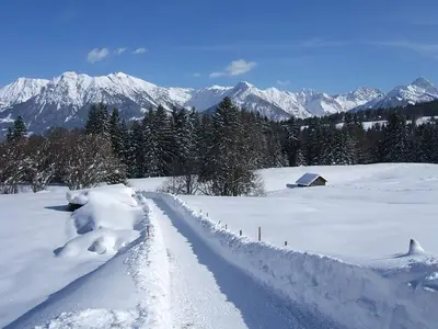 Ferienwohnung für 2 Personen (44 m²) in Fischen im Allgäu 3/10
